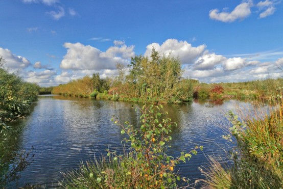 Images for Moss Farm, Cutnook Lane, Irlam EAID:f9612e08aa9db763e9b9345859e1a61a BID:1