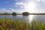 Images for Moss Farm, Cutnook Lane, Irlam