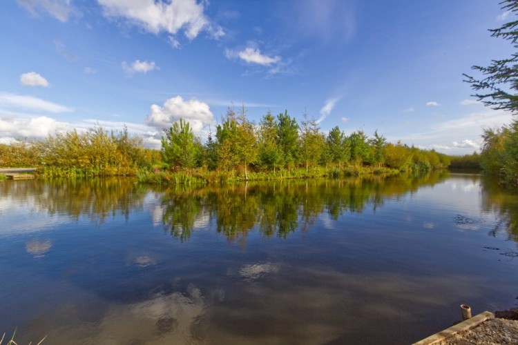 Images for Moss Farm, Cutnook Lane, Irlam EAID:f9612e08aa9db763e9b9345859e1a61a BID:1