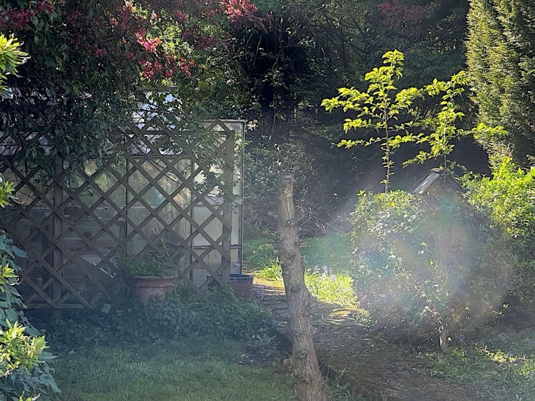 Images for Fir Street, Cadishead, M44 EAID:3405264228 BID:2714ea13-4875-41c2-9250-130c9b5cb2ff