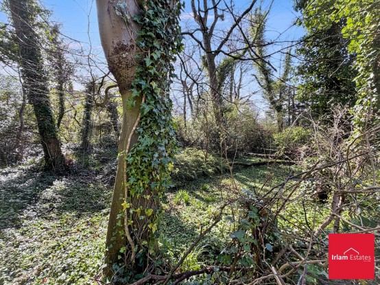 Images for Poplar Drive, Prestwich, M25 EAID:3405264228 BID:2714ea13-4875-41c2-9250-130c9b5cb2ff