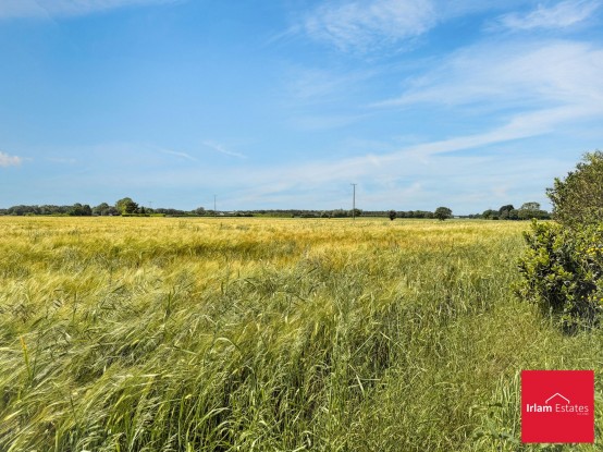Images for Glazebrook Lane, Glazebrook, WA3 EAID:3405264228 BID:2714ea13-4875-41c2-9250-130c9b5cb2ff